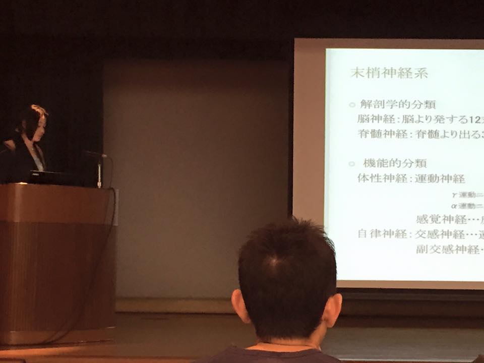 アップロードファイル 36KB