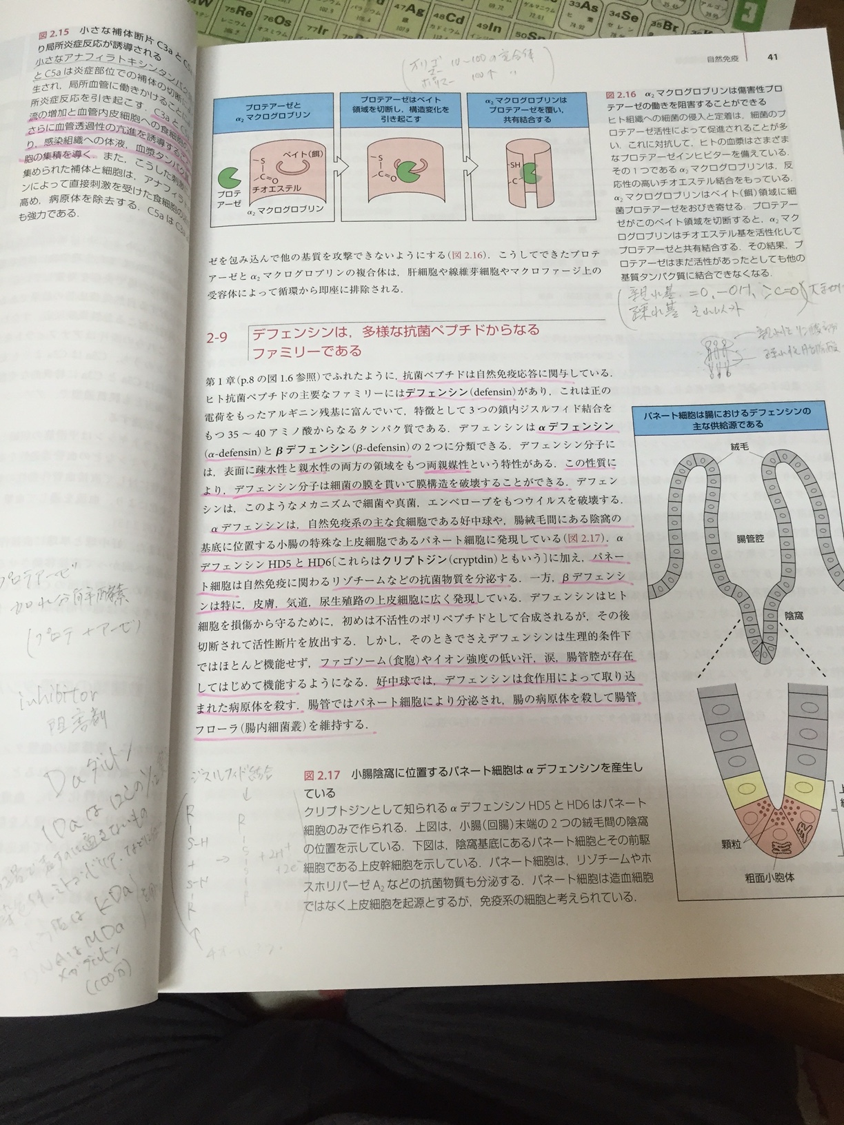 アップロードファイル 716KB